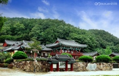 영천에서 살아보기, 인기몰이…나도 살아볼래요