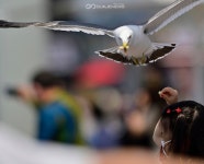 [여름 & 6월] 내손은 물지마! [여름 & 6월] \