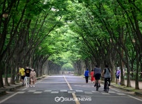 [코로나19] 안이한 생각이 확산 불러!