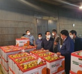 새의성농협, 경매식 집하장 개장