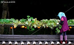 [가을] 농부의 맘으로 가꿔요!