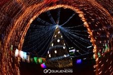 [국제포토] 트리 불 밝힌 동인천역