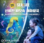 부산아쿠아리움 신비한 바닷속 해마왕국 신규 전시 체험존 공개