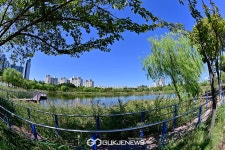 [국제포토] 가을하늘 풍광 & 상동호수공원 [국제포토] 가을하늘 풍광 &amp; 상동호수공원