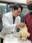 대구시, 동물병원 173개소에서 반려견 접종 실시