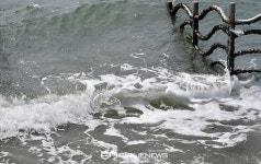 보령 독산해변 변사체 2구 발견...해경 해루질사고 추정