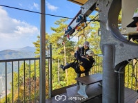 낮엔 자연, 밤엔 별빛…영천에서 여름의 모든 것을 만난다