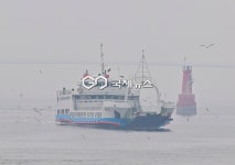 [국제포토] 꽃과 힐링의 시기, 섬 투어