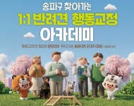 훈련사가 집으로 온다…송파구, 반려견 1대1 맞춤 교정 지원