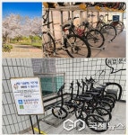 대구광역시, 벗꽃길 자전거 라이딩 통해 스트레스 확 날리세요!