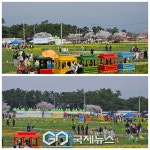 삼척시, 근덕면 상맹방리 유채꽃과 벚꽃 장관