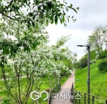 엘리베이터·광장 정비…송파구, 56억으로 생활불편 해소