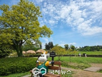 [제주여행] 가족여행지 아침미소목장