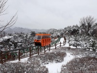 생태탐방 모노레일 | 시설별 안내 | 구미에코랜드 | 관광명소 | 구미시청 홈페이지 구미시 - 긍정과 희망의 도시