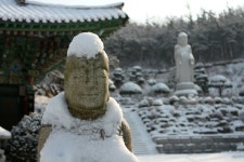 은적사의 향~. 게시글 보기 < 생생 풍경 < 생생포토/영상 < 관광 가이드 < 문화관광