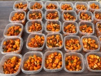 포토갤러리<알림마당<구암동