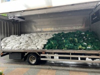 포토갤러리<알림마당<나운2동