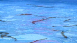 자유게시판<열린마당<군산시 보건소