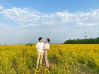 군산 신시도 환상적인 금계국 💛 게시글 보기 < 장자교 방문후기 이벤트 < 커뮤니티 < 관광 가이드 < 문화관광