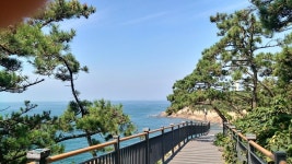 비응 마파지길 게시글 보기 < 관광명소 < 군산 자랑 < 문화관광