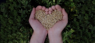 메인테스트 메뉴<군산시농업기술센터