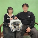 갤러리 - 반려돌봄센터 페이지 제목 표시