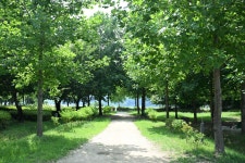 포토뉴스 보기 - 우리 구리 우리 구리