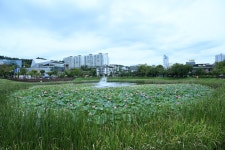 포토뉴스 보기 - 우리 구리 우리 구리