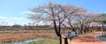 숙박시설 - 구리 문화관광 구리 문화관광