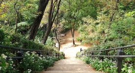 구로 명품올레길 - 구로구청