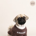 OOPSIE DAISY 웁시데이지 [OOPSIE DAISY] NAME T-SHIRT_COCOA