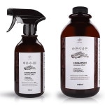 바른편백(BALEUNPHYTONCIDE) 바른시나몬 계피스프레이 1500ML 세트상품 | GVG 스토어. 전 세계직배송.
