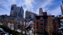 포토앨범(목록) < 우리마을소식 < 자양2동 < 동주민센터