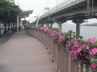 포토앨범(목록) < 우리마을소식 < 광장동 < 동주민센터