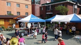 포토앨범(목록) < 우리마을소식 < 중곡1동 < 동주민센터