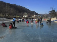 포토앨범(목록) < 우리마을소식 < 중곡3동 < 동주민센터