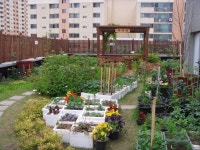 포토앨범(목록) < 우리마을소식 < 자양2동 < 동주민센터