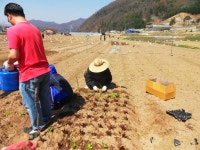 포토앨범(목록) < 우리마을소식 < 중곡2동 < 동주민센터