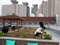 포토앨범(목록) < 우리마을소식 < 능동 < 동주민센터