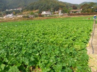 포토앨범(목록) < 우리마을소식 < 중곡2동 < 동주민센터