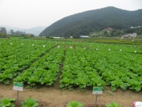 포토앨범(목록) < 우리마을소식 < 능동 < 동주민센터