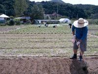 포토앨범(목록) < 우리마을소식 < 중곡2동 < 동주민센터