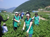 포토앨범(목록) < 우리마을소식 < 중곡2동 < 동주민센터