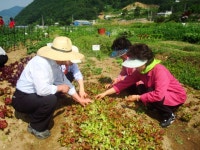 포토앨범(목록) < 우리마을소식 < 중곡4동 < 동주민센터