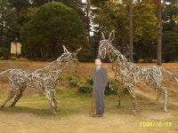 포토앨범(목록) < 우리마을소식 < 자양2동 < 동주민센터