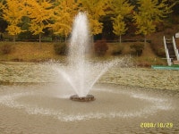 포토앨범(목록) < 우리마을소식 < 자양2동 < 동주민센터