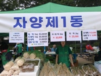 포토앨범(목록) < 우리마을소식 < 화양동 < 동주민센터