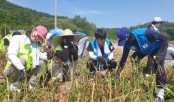 광주대뉴스 > 홍보관 > 대학소개 > 광주대학교