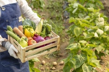 광주광역시 농업·도시농업