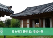 		시민리포터 | 광주광역시청